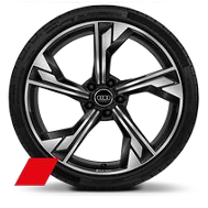Audi Sport 18 inch 5-spoke sports model with aluminum alloy wheels